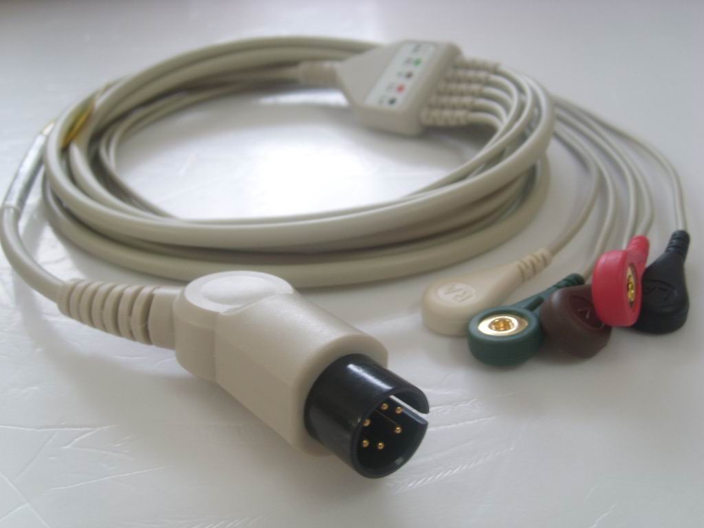 SL276294.jpg