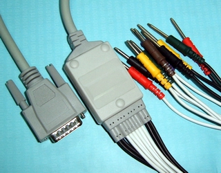 2006101123532284429.jpg
