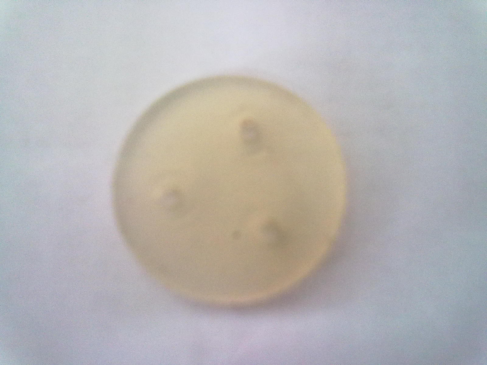 20120704941.jpg