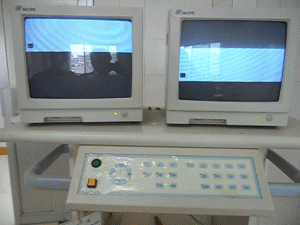 小快.gif