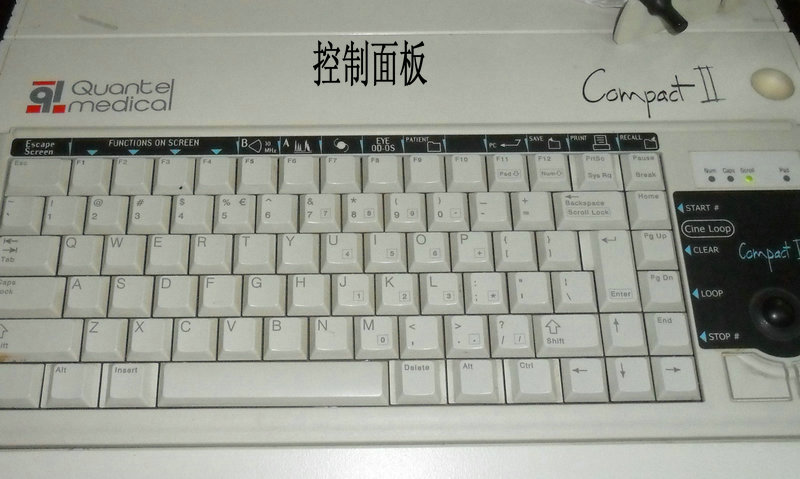 SAM_5305.JPG
