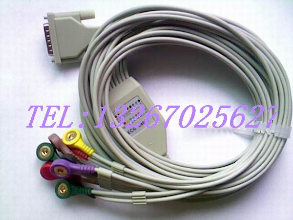 IMG0595A.jpg