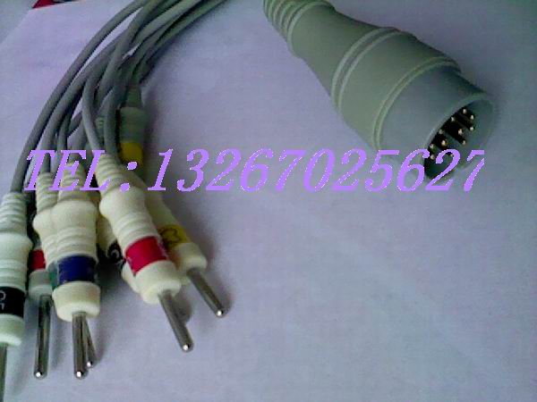 IMG0495A.jpg
