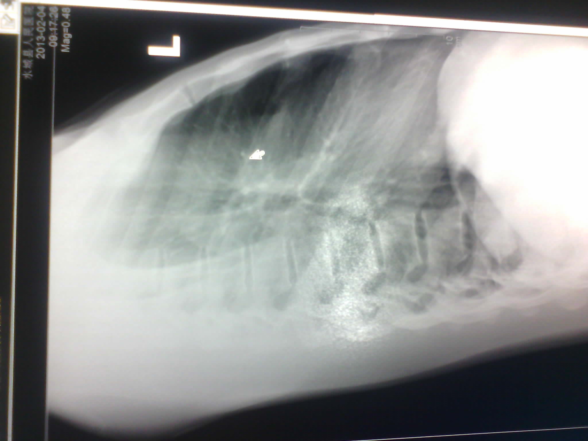 IMG_20130204_100352846.jpg