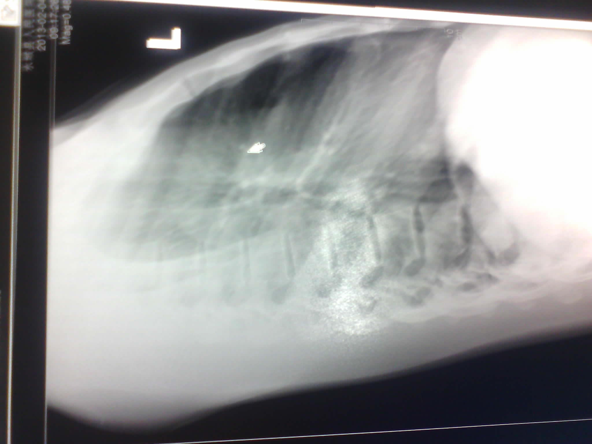 IMG_20130204_100358396.jpg
