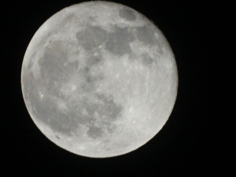 DSC00196_副本.JPG