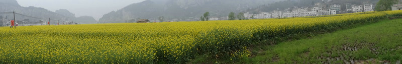 DSC00483_1.JPG