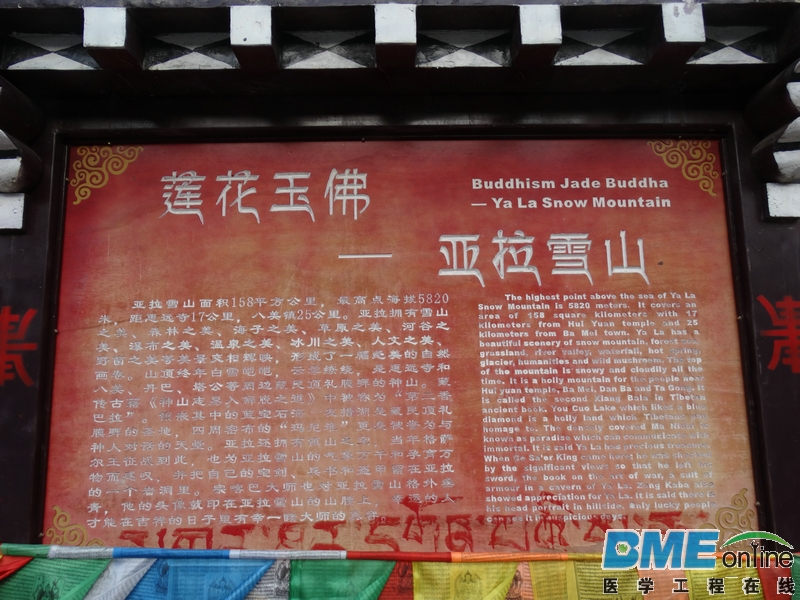 DSC03247.JPG