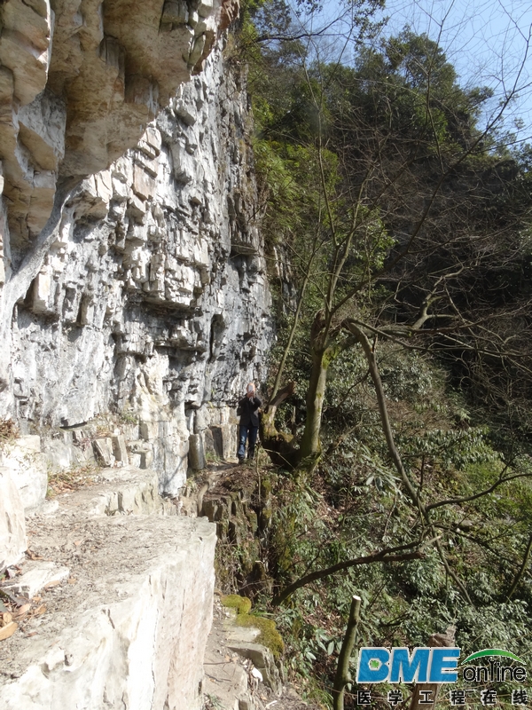 DSC04036_1.JPG