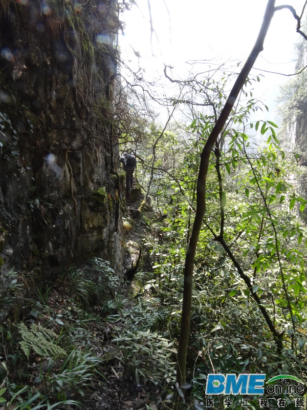 DSC04046_1.JPG