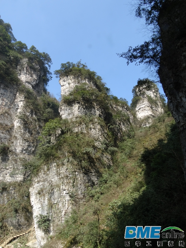 DSC04028_1.JPG