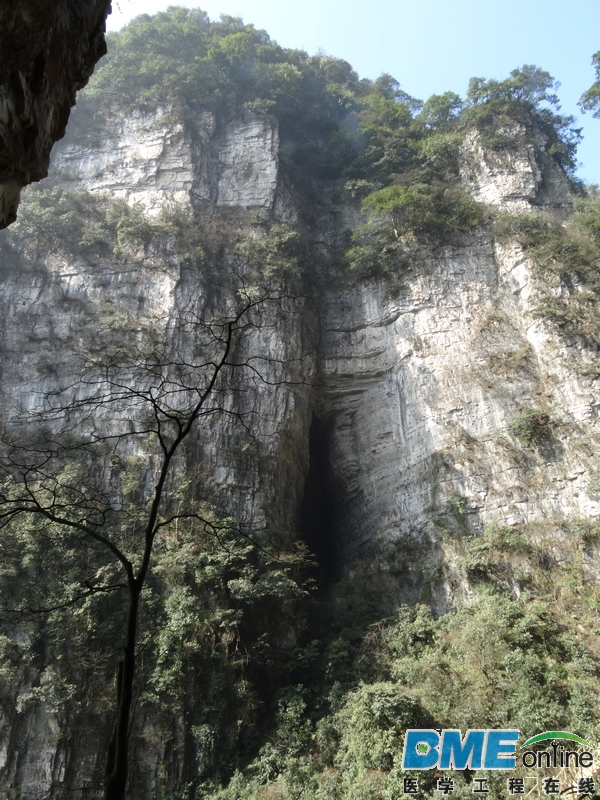 DSC04029_1.JPG