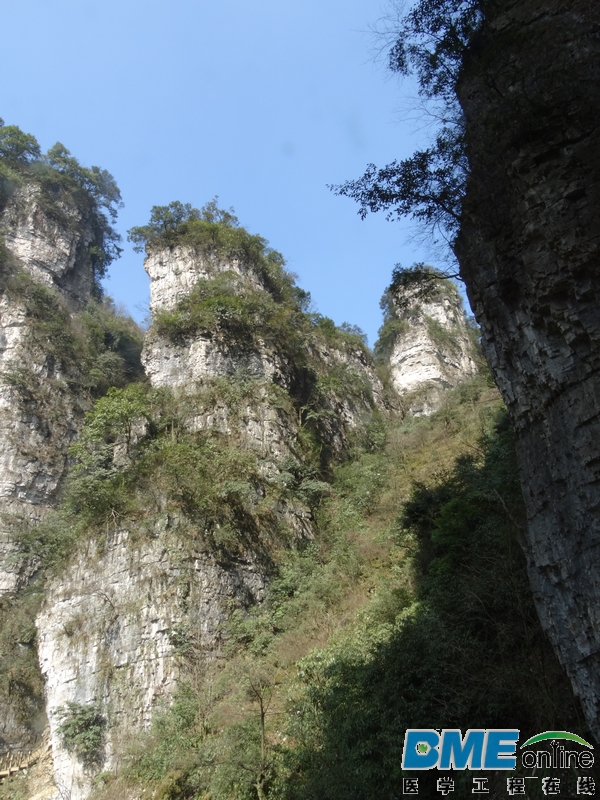 DSC04030_1.JPG
