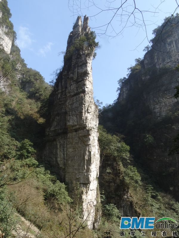 DSC04078_1.JPG