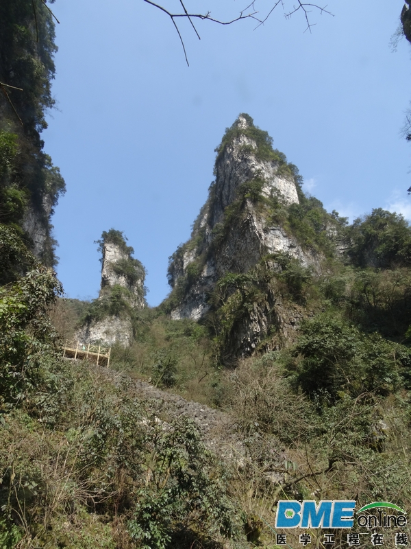 DSC04079_1.JPG