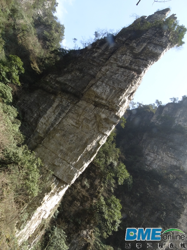 DSC04080_1.JPG