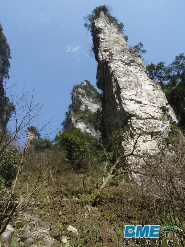 DSC04082_1.JPG