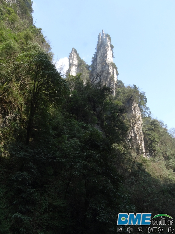 DSC04104_1.JPG
