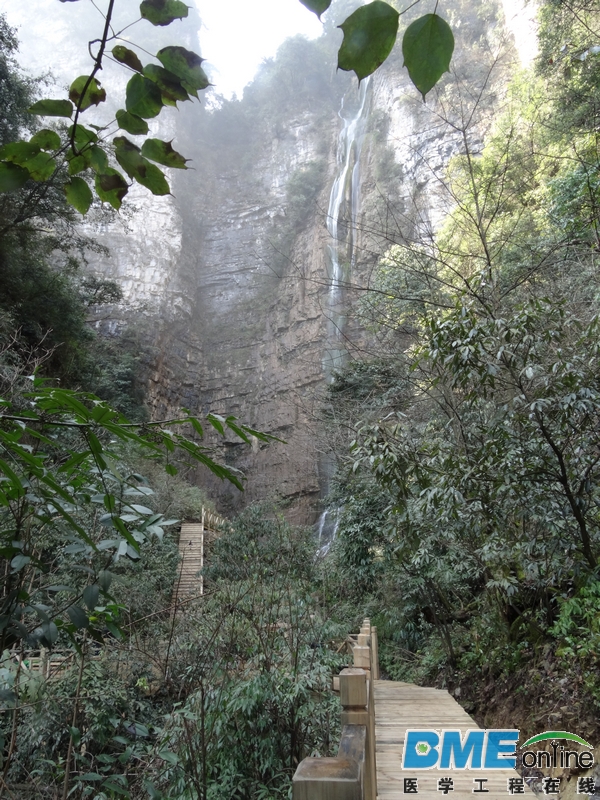 DSC04106_1.JPG