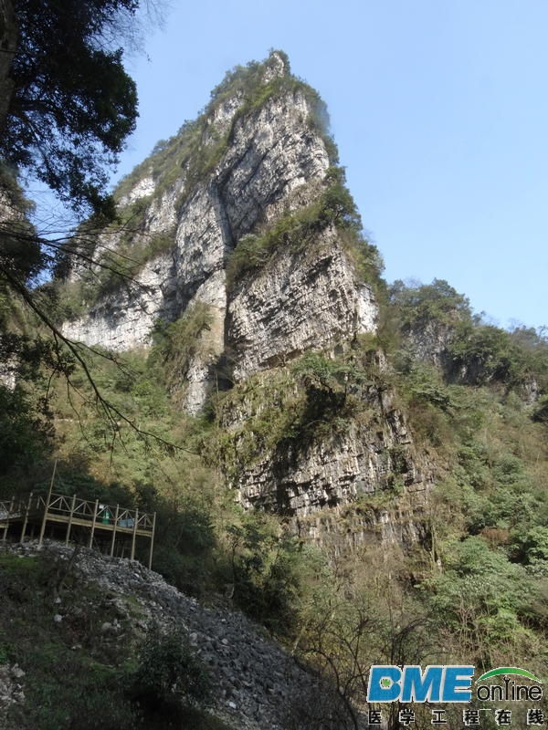 DSC04130_1.JPG
