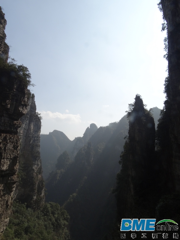 DSC04133_1.JPG