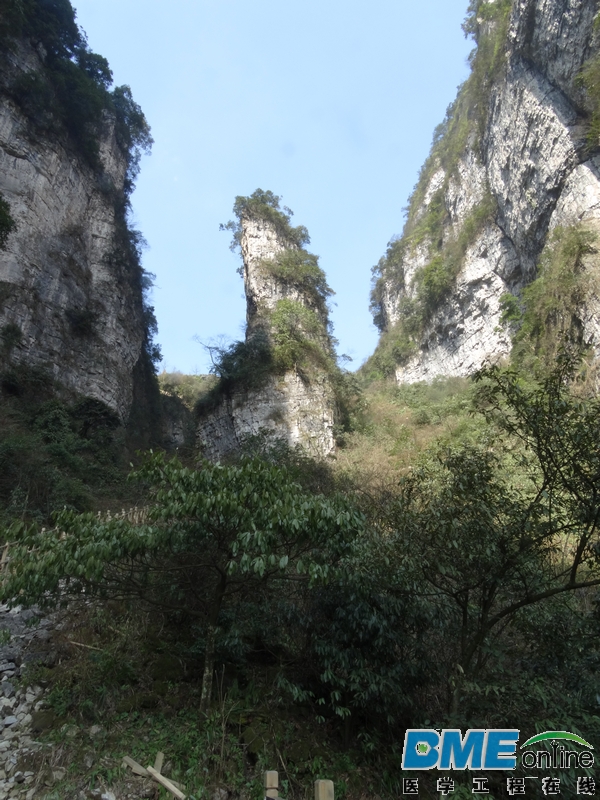 DSC04134_1.JPG