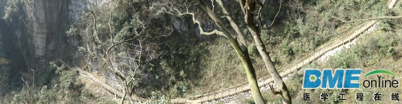 DSC04060_1.JPG