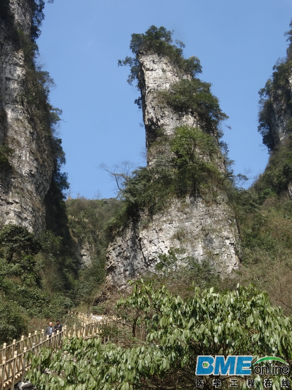 DSC04072_1.JPG