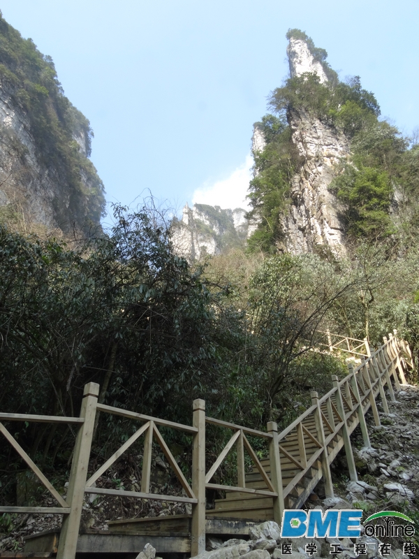 DSC04110_1.JPG