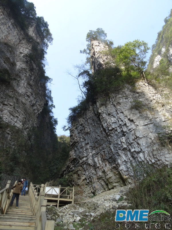 DSC04135_1.JPG
