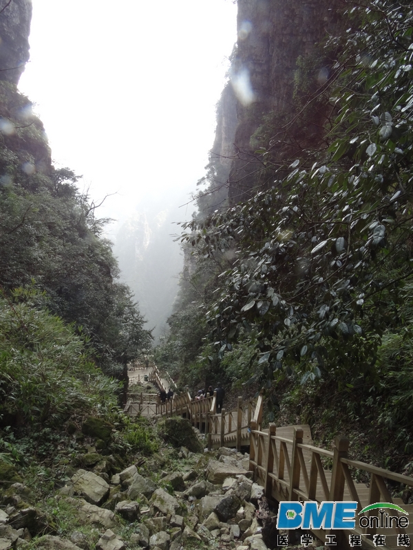 DSC04138_1.JPG