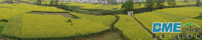 DSC04580.JPG