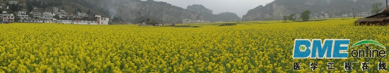 DSC04638.JPG
