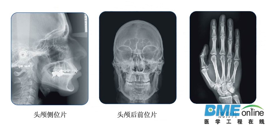 Villa维拉4.jpg