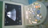 e3503802.jpg