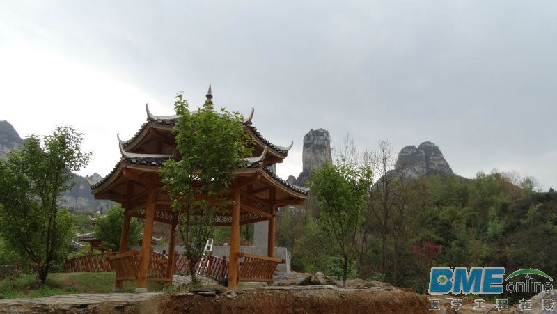 DSC01464.JPG
