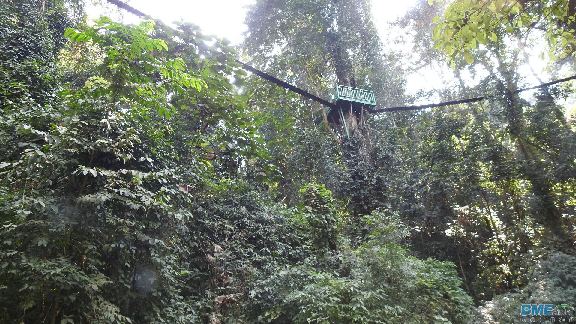 DSCN3953.JPG