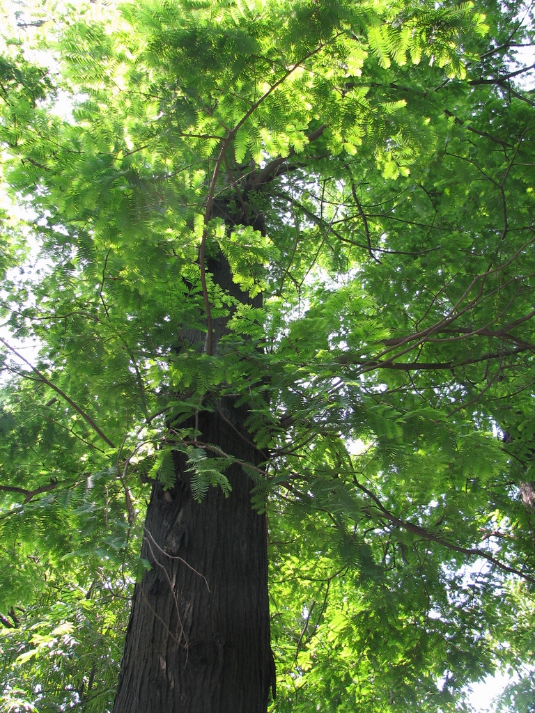 20060602_0014.jpg