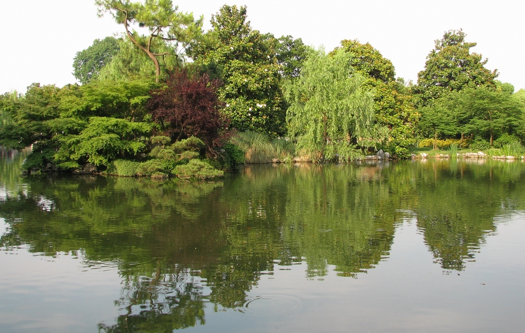 20060602_0204.jpg