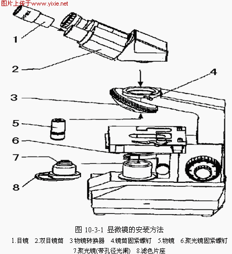 1.gif