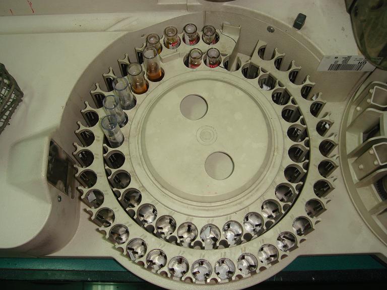 DSC00631.JPG