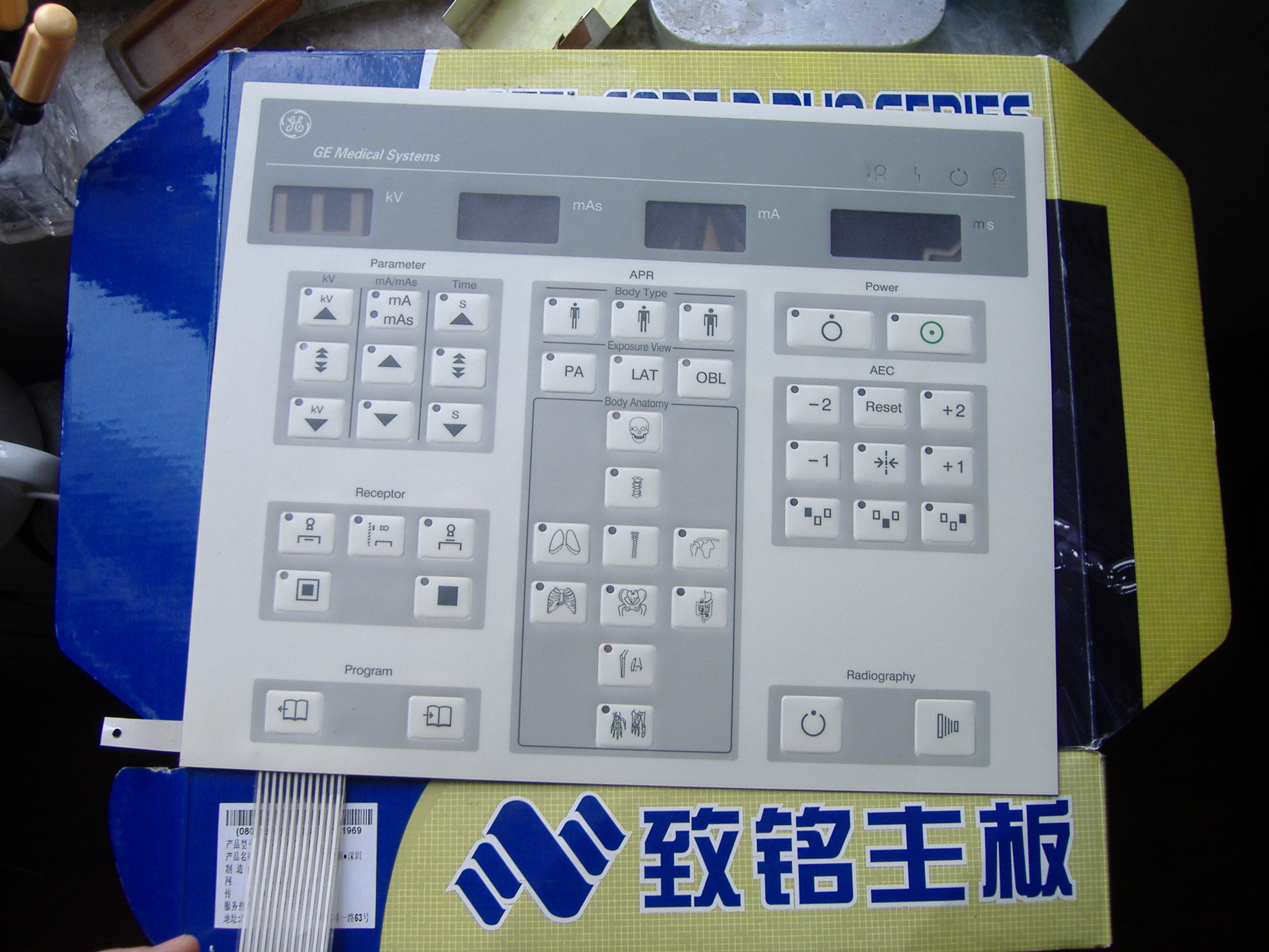 DSCF5240.JPG