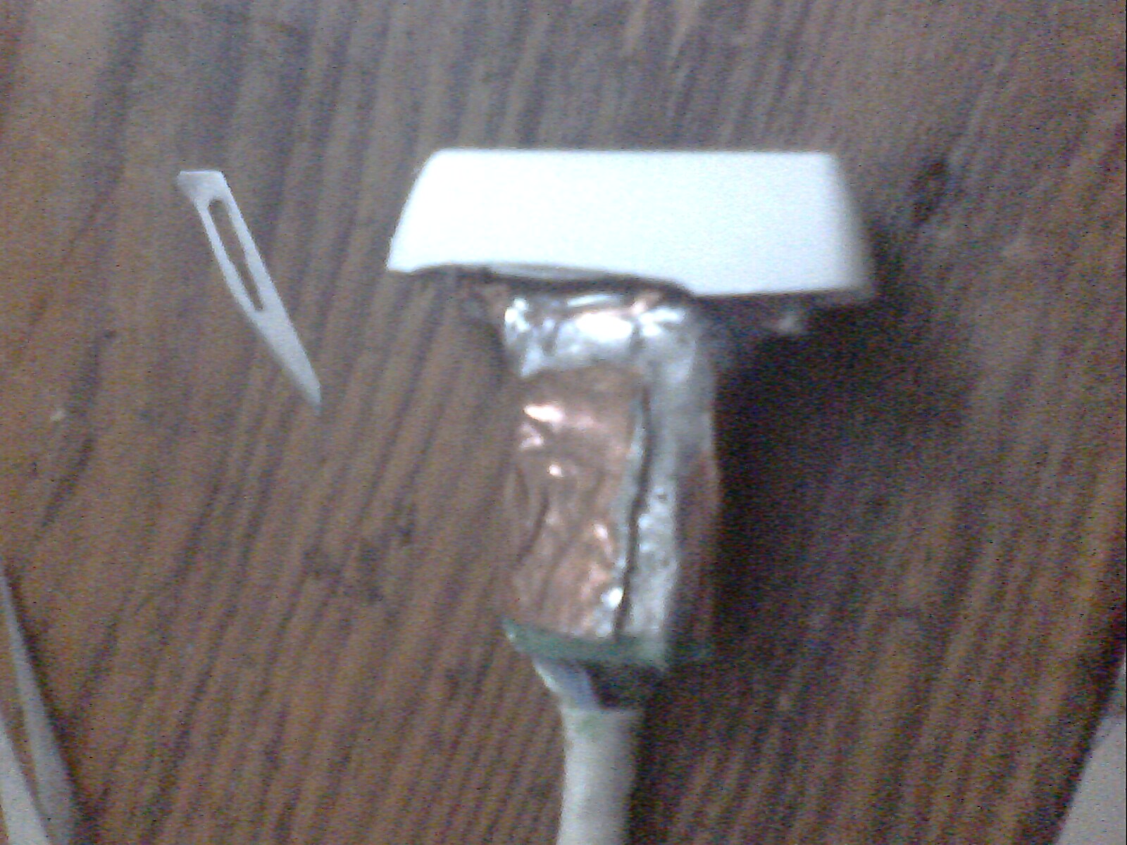 IMG1130A.jpg