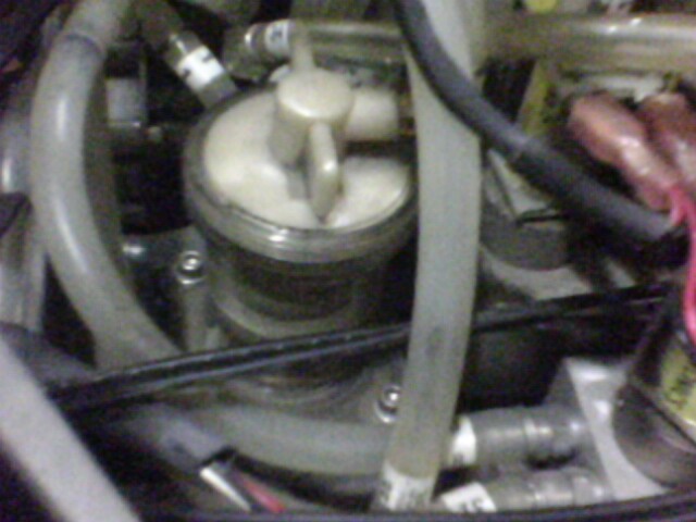 IMG0175A.jpg