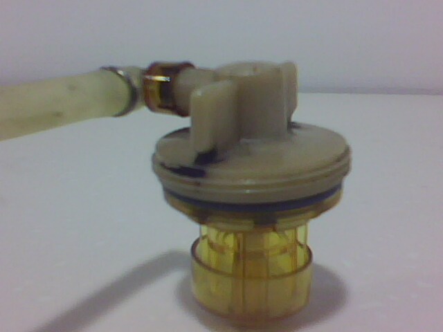 IMG0173A.jpg
