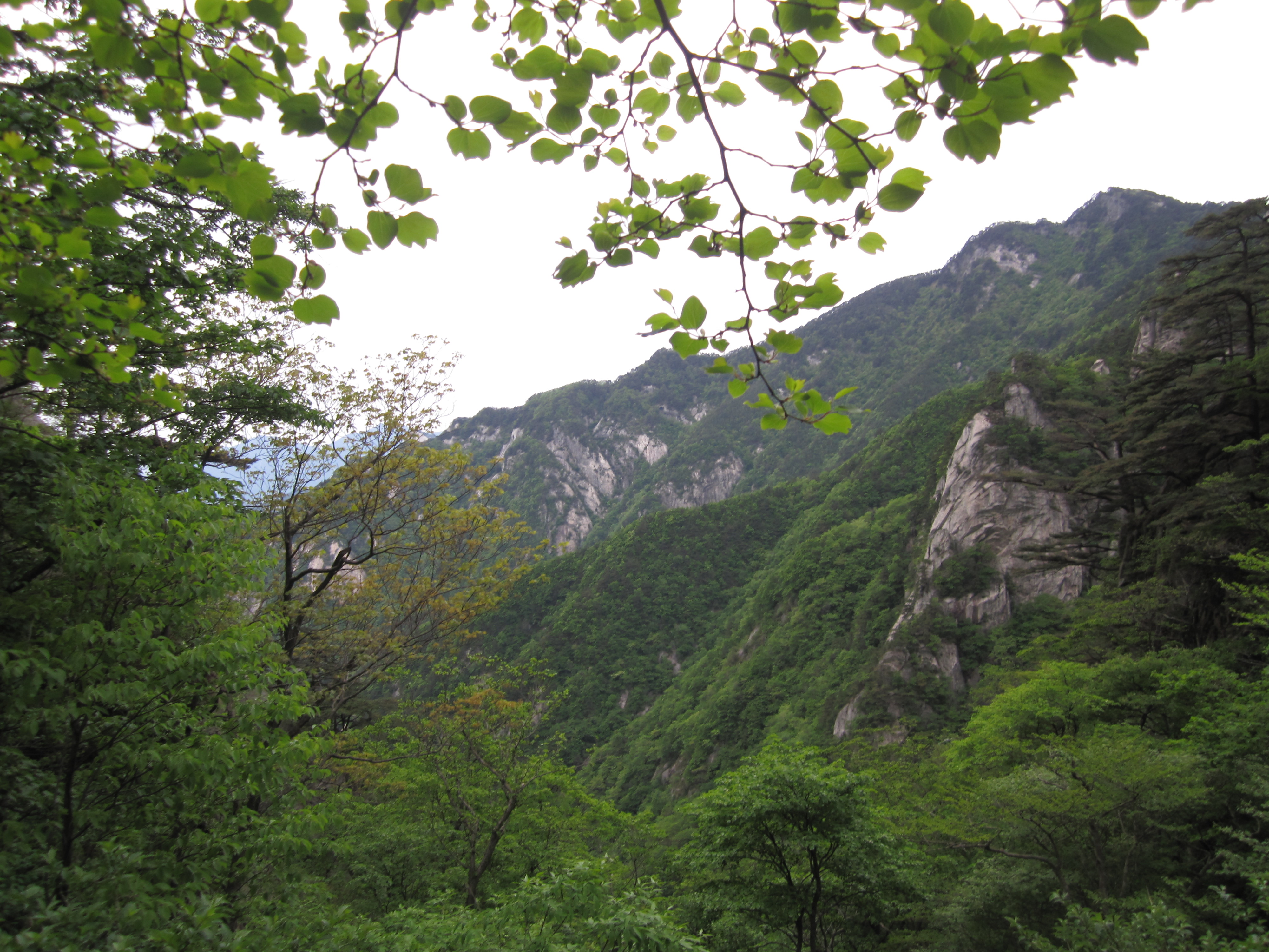 IMG_2744.jpg