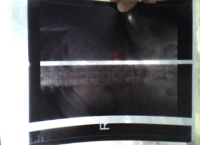 20110819160446.jpg