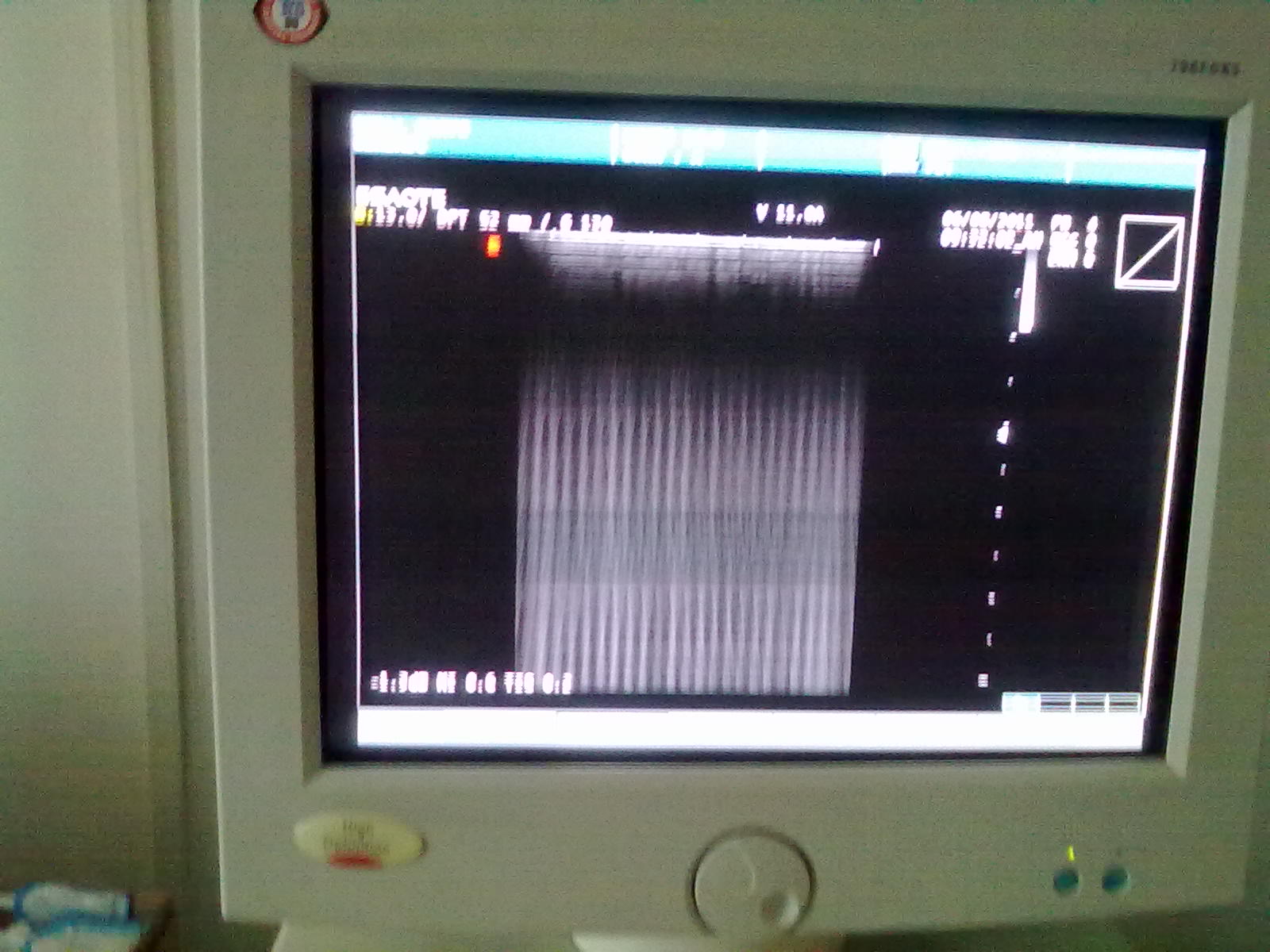 20110806071.jpg