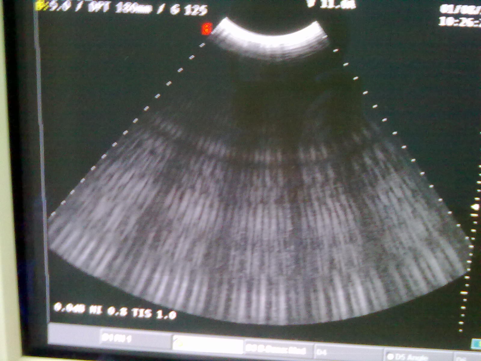 20110801065.jpg