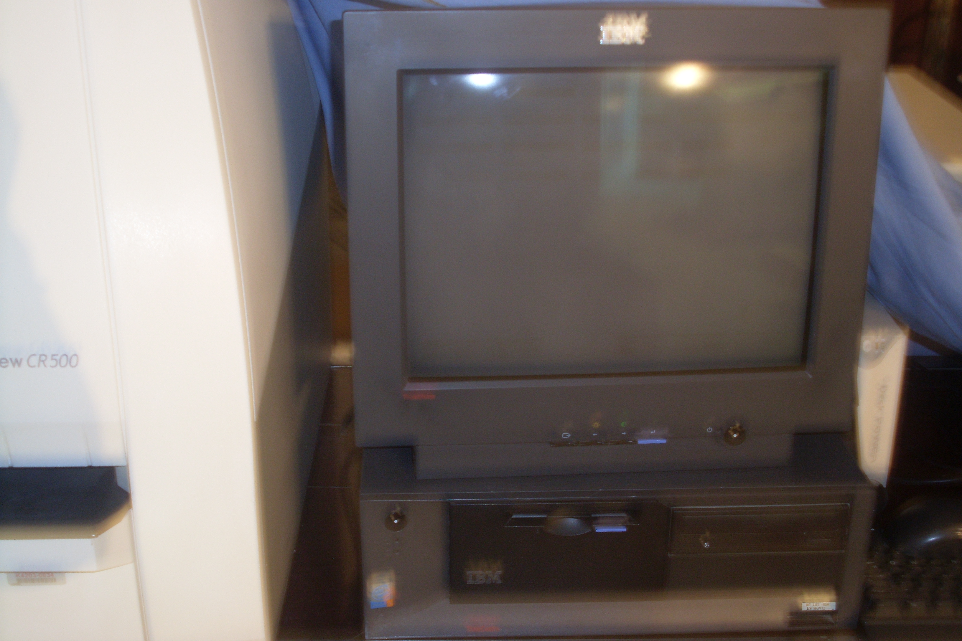 SL381968.JPG